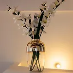 Eveil 4 Le Refuge Lumiere Sous Les Toits De