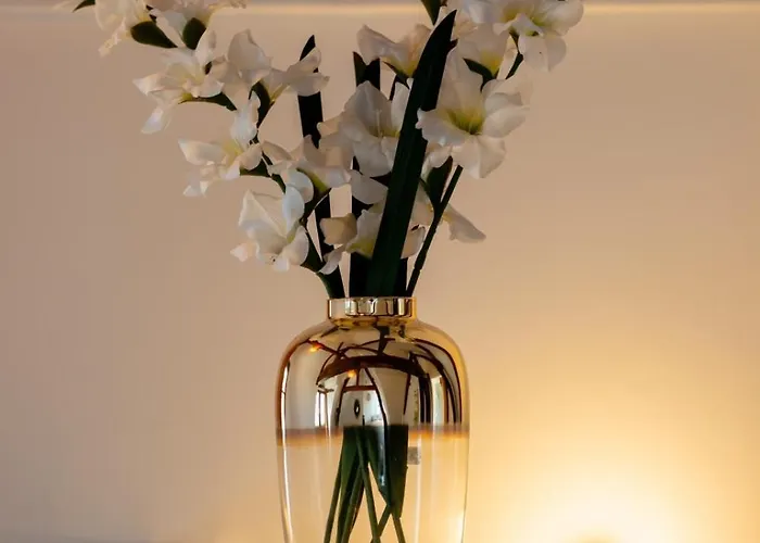 Eveil 4 Le Refuge Lumiere Sous Les Toits De